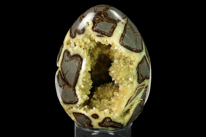 Calcite Crystal Filled Septarian Geode Egg - Utah #170020